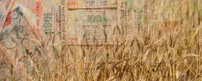 India’s Farm Loan Waiver Crisis