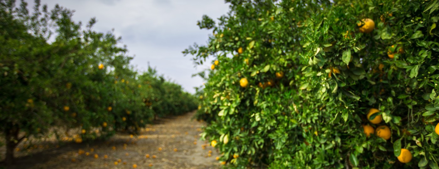 Around the District: Kern County Rooted in California Agriculture Heartland