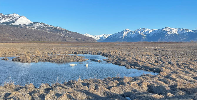 Around the District: Returning to Alaska for Some Inspiring Community Engagement