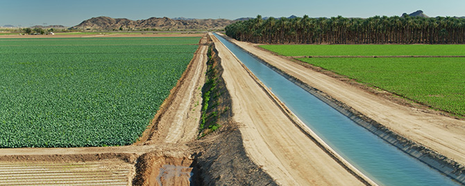 Irrigated desert farmland in Southern California
