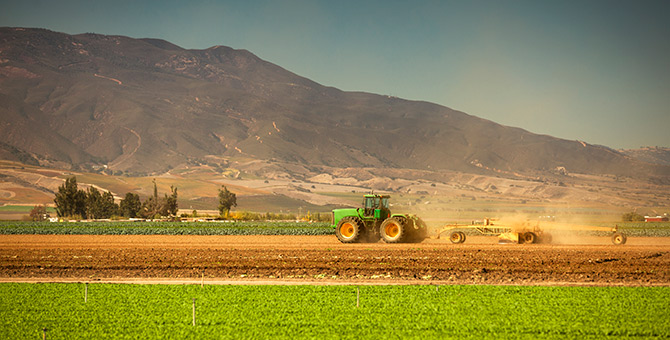 What We Learned from Twelfth District Agriculture CEOs about Climate Resilience 