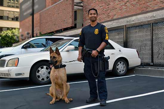 Officer Devera with K9 Maui