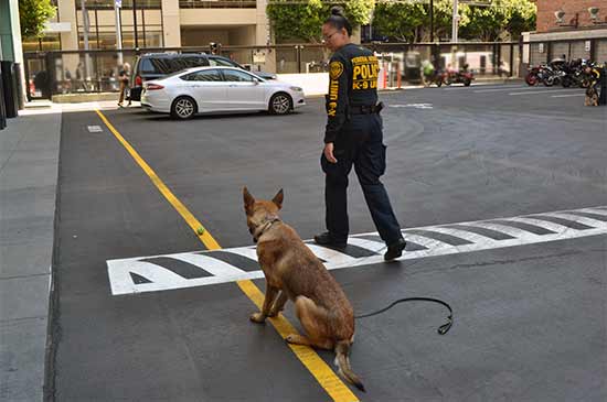 Officer Romans with K9 Echo