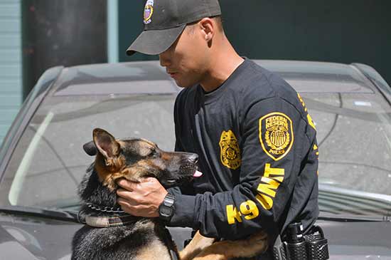 Officer Yoon with K9 Cash
