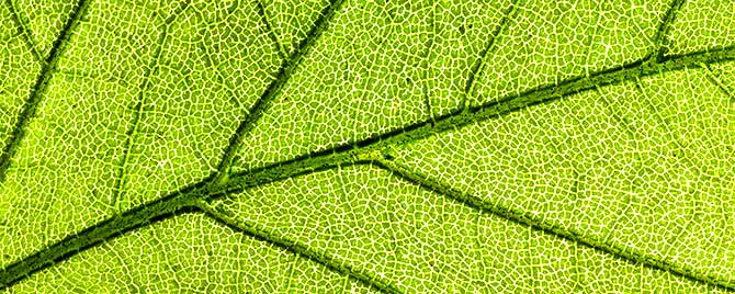 Asia’s Open Banking Push