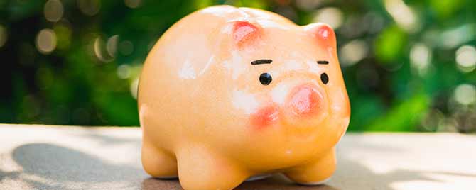 Piggy Bank