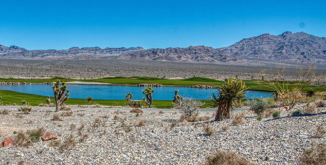 Learning from Alaska Native, Native American, Native Hawaiian, and Indigenous Communities