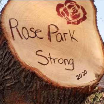 rosa_park_strong