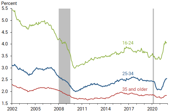 Job quits rate proxies by age