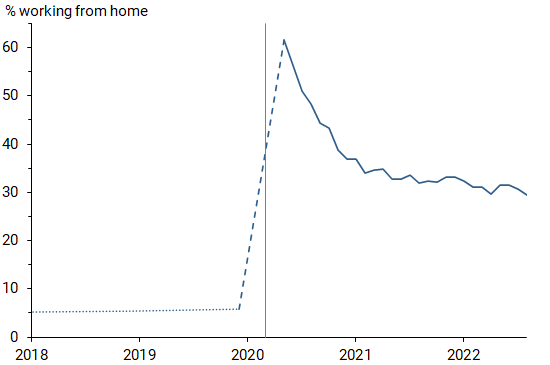 Pandemic’s effect on share of people working from home