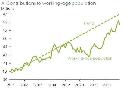 A. Contributions to working-age population