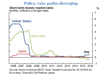 Policy rate paths diverging