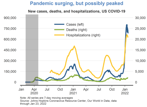 Pandemic surging, but possibly peaked