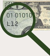 Magnified $20 bill